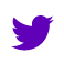https://twitter.com/Cutera icon